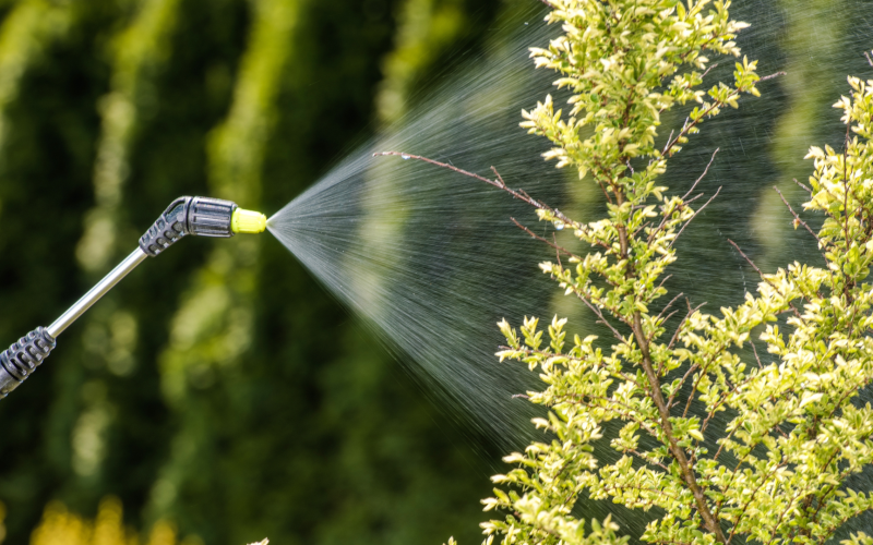 Spaying fertilizer or chemical on plants