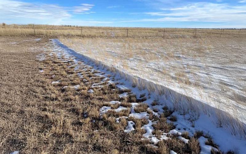 Two pastures side-by-side. The left has minimal snow capture due to reduced plant residue. The right has ample snow capture throughout due to increased plant residue.