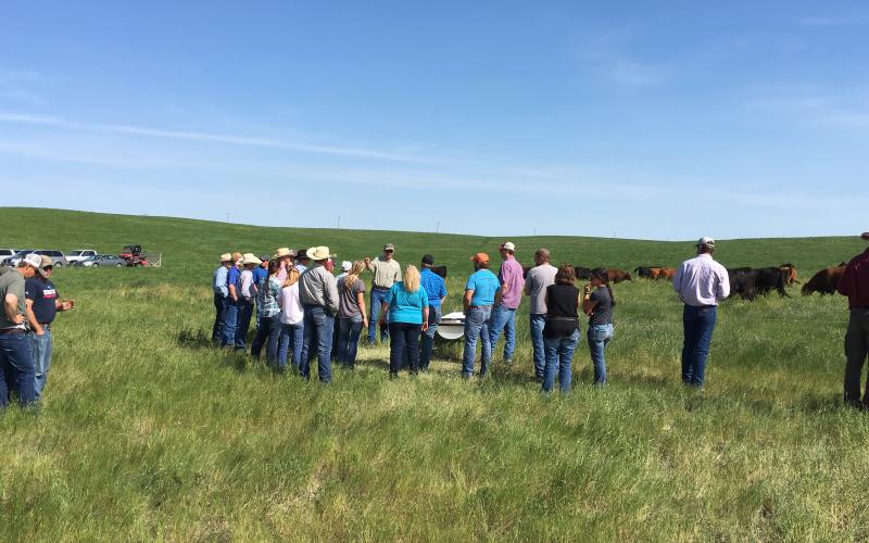 A group of participants of the beefSD program