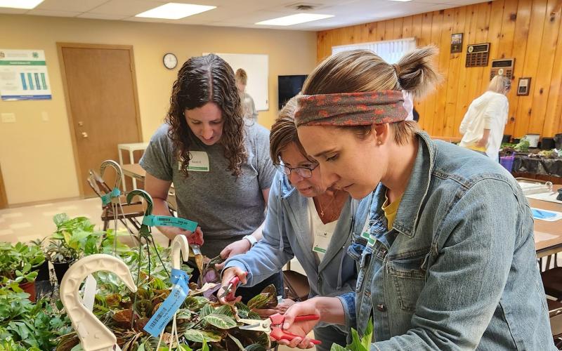 Women look through potted plants on a table in a classroom