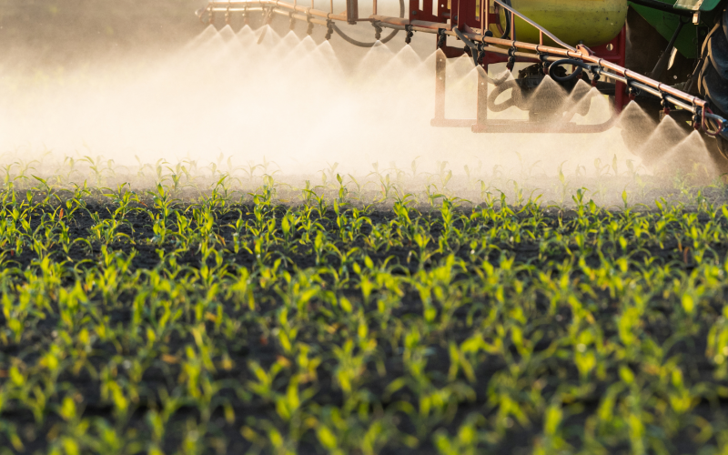 A sprayer applying liquid herbicides on corn