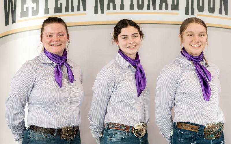 Three girls in button down shirts with matching purple scarves smile for the camera