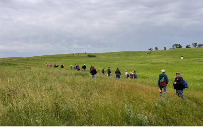 People stand in a line in the middle of an open pasture
