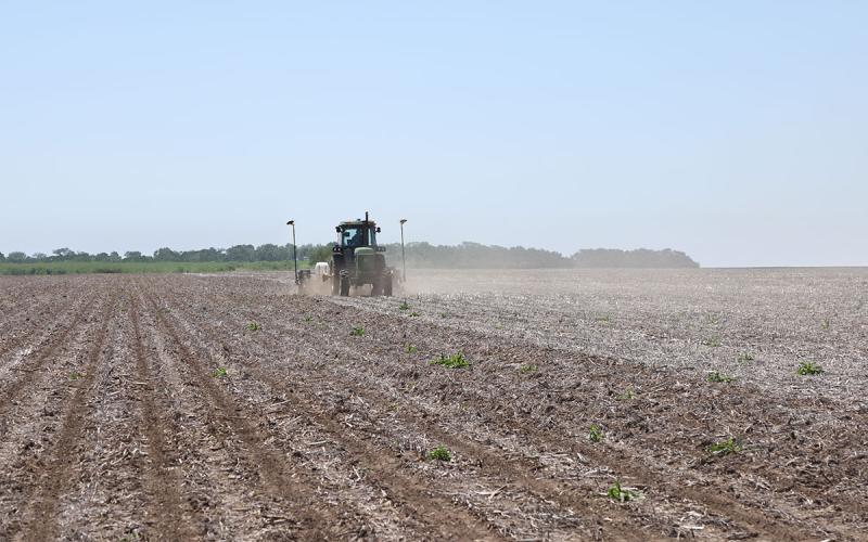 Tractor planter seeding crops in a no-till field.