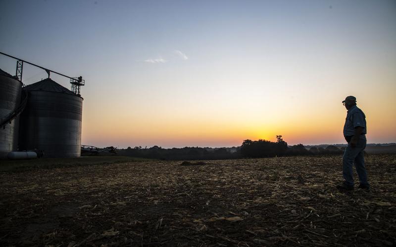 Farmer inspecting a no-till field before planting.