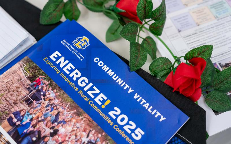 A brochure that says &quot;Energize 2025&quot; sits on a table with red roses laying next to it