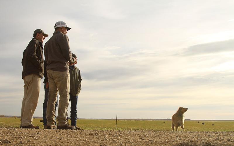 A group of producers surveying a grazing area in early spring.