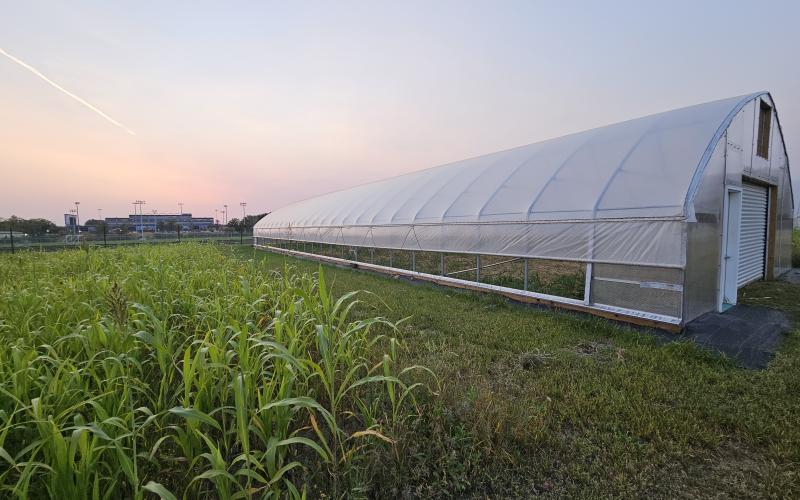 High tunnel used for specialty crops