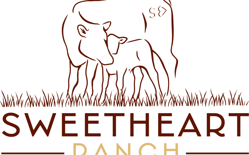A logo of a cow with a calf over the words Sweetheart Ranch