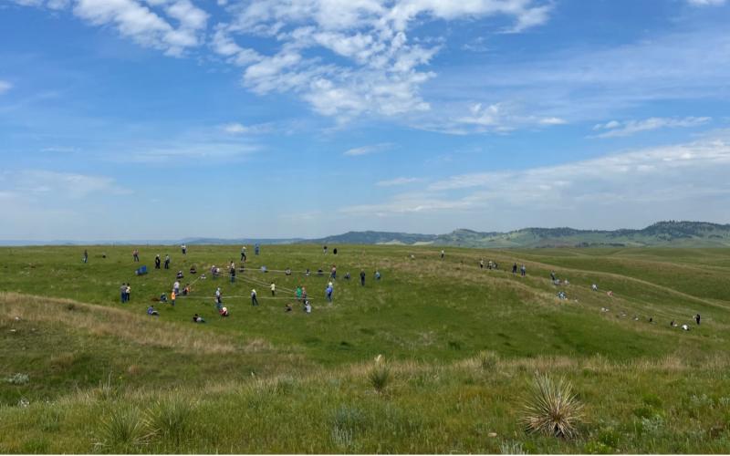 People are seen in the distance in a grassland under a blue sky