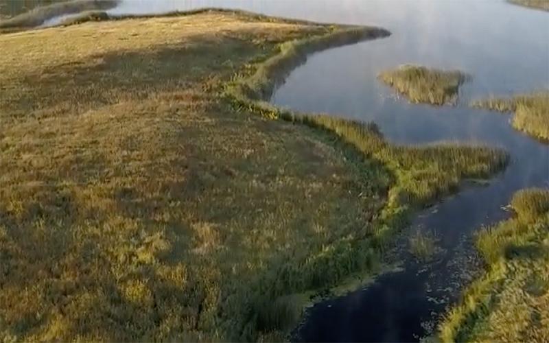 Aerial view of South Dakota wetlands.
