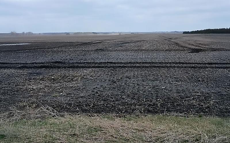 Harvested crop field with deep soil ruts left by equipment tires.