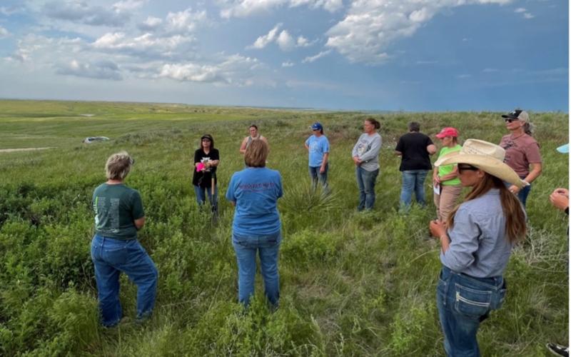 A group of people stands in a green pasture