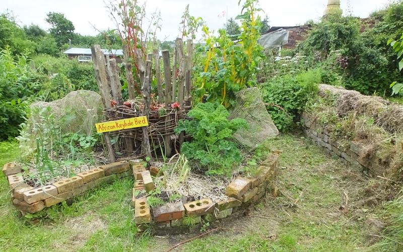 A circular keyhole garden made of bricks with plants growing in it.