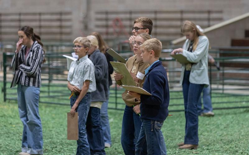 Group of 4-H youth with clipboards at a livestock judging event.