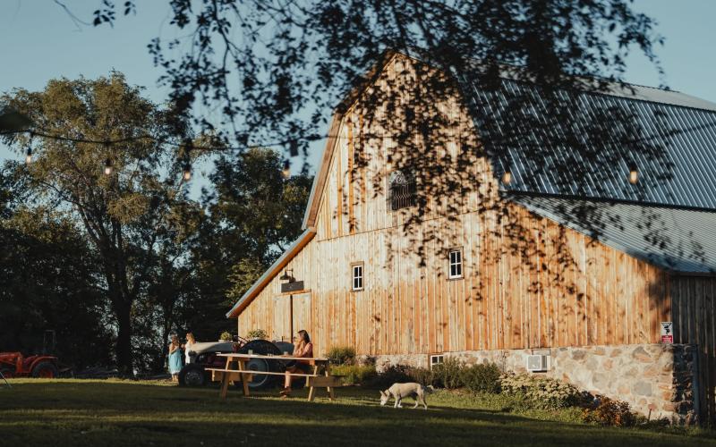 A large, wooden barn stands in the background, with tree branches in the foreground
