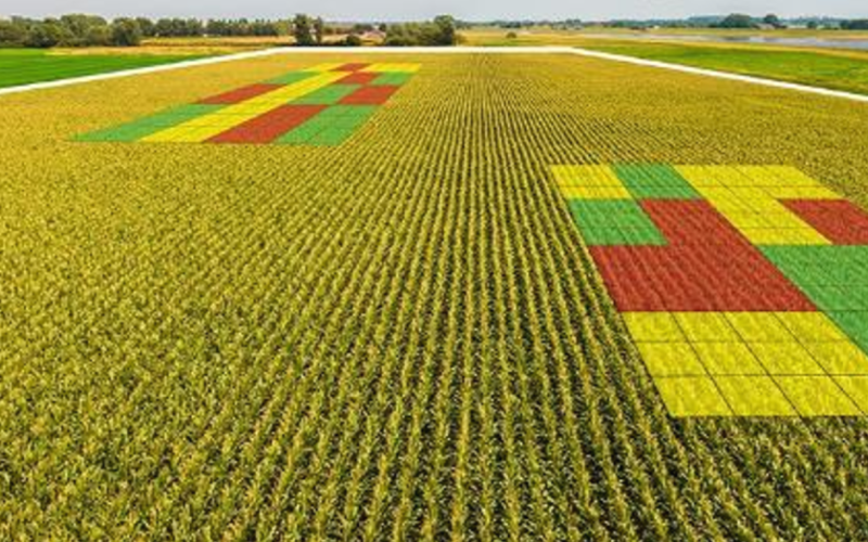 Nitrogen rate map layered on top of a field