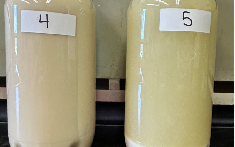 Two clear bottles labeled 4 and 5 with white liquid inside. Bottle 5 has white substrate settled at the bottom.