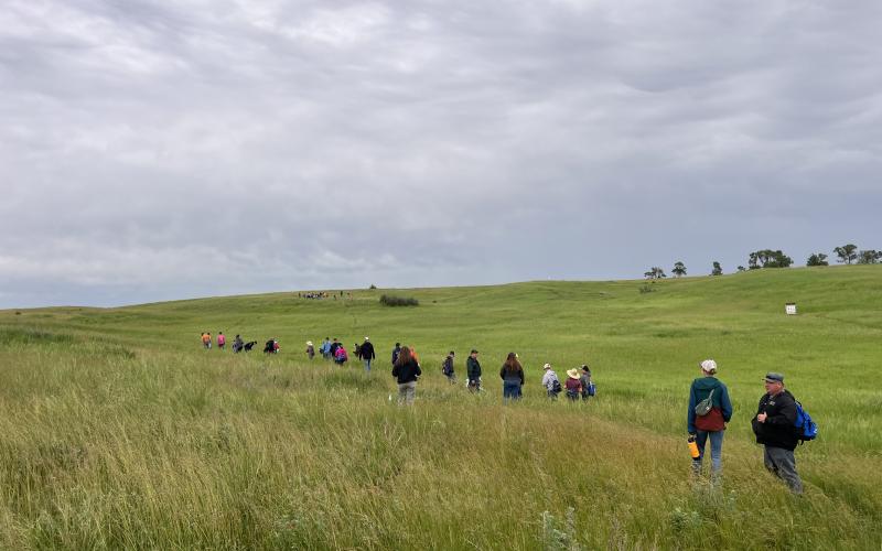a group of youth in a grassy pasture