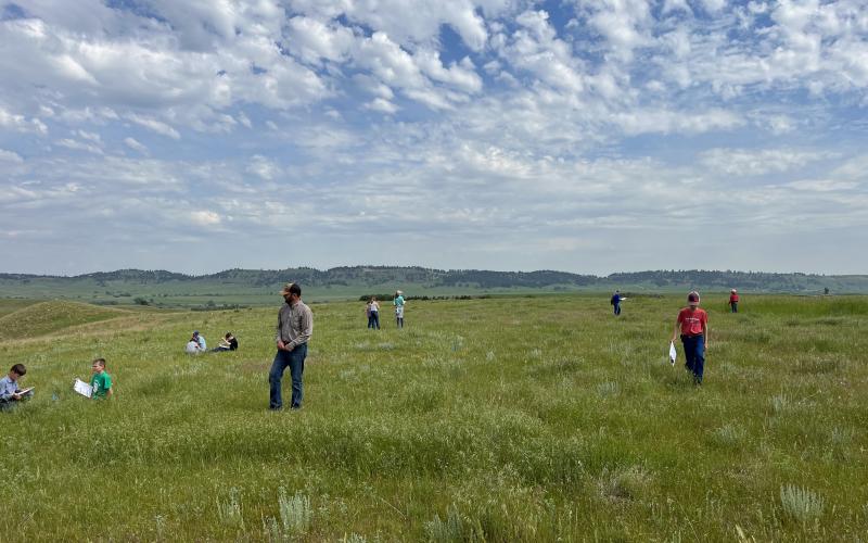 youth spread out on a grassy hill side with clipboards and paper