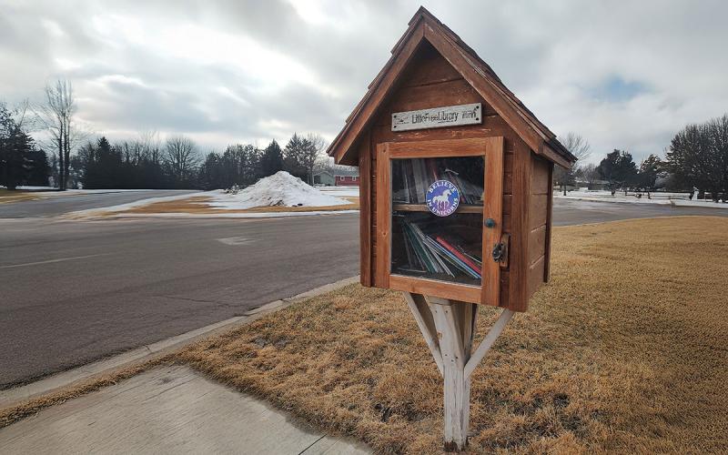 A Little Free Library book box along a sidewalk in Aberdeen, South Dakota.