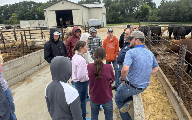 Group of youth touring a beef feedlot
