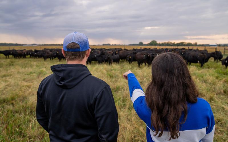 Two young producers inspecting a herd of cattle in early spring pasture.