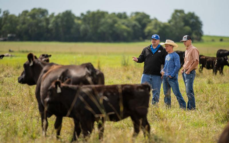 Group of producers observing beef cattle in a pasture.