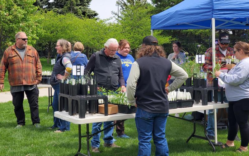 Group of people browsing native plant sales