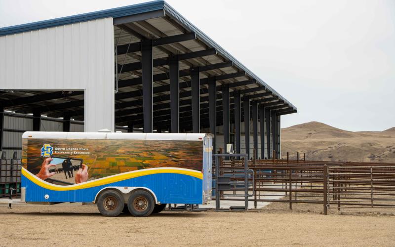 A trailer with SDSU Extension logo stands beside a barn and fenced cattle yard.