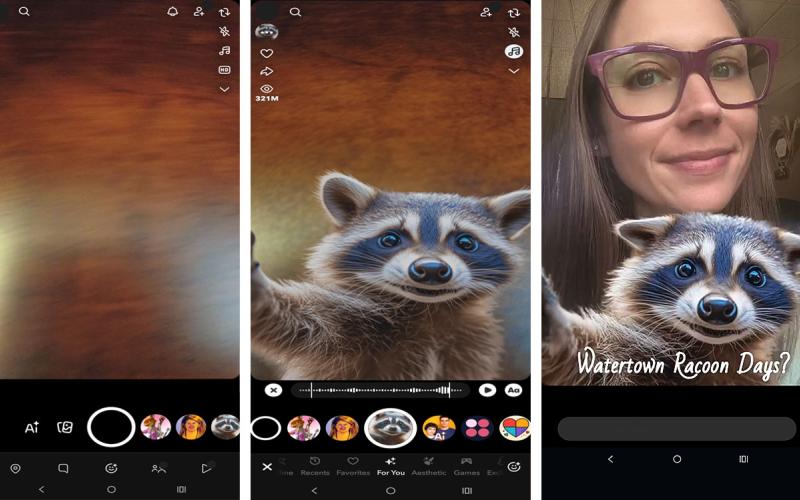 Series of Snapchat screenshots demonstrating the application of a custom community lens for Watertown Racoon days.