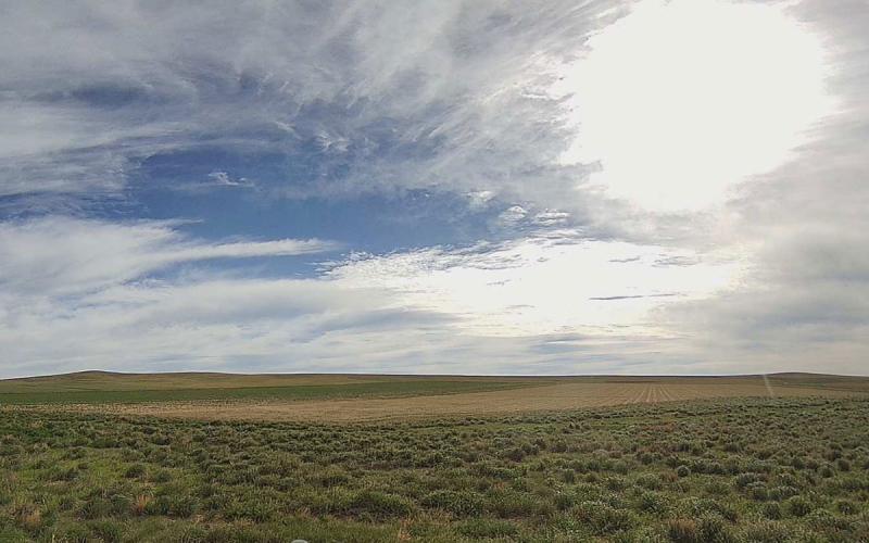 View of pasture and cropland conditions at the Pierre, SD mesonet station.
