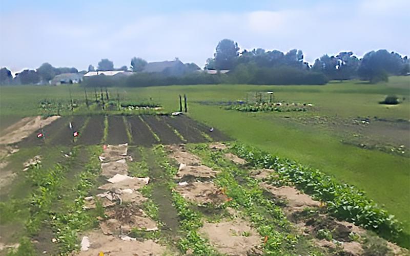 Gardening plots at the Foundation Field Community Garden.