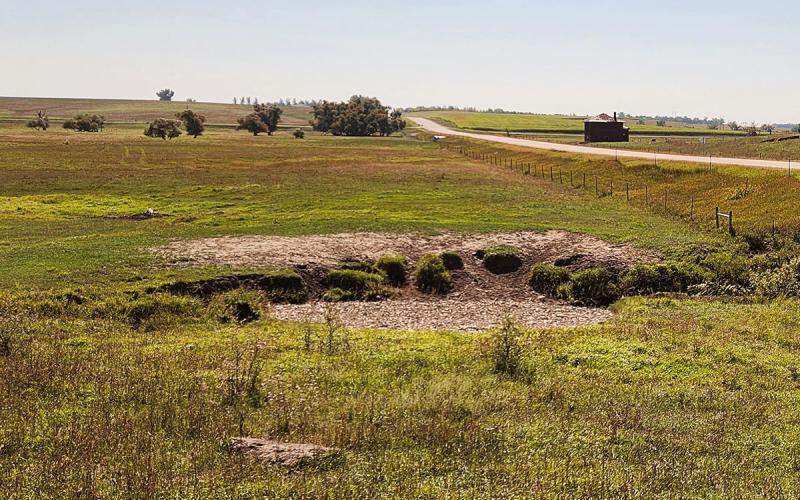 Dried creek bed running through summer pasture.