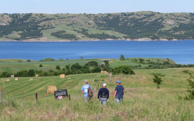 Three men walking through a pasture next to the river