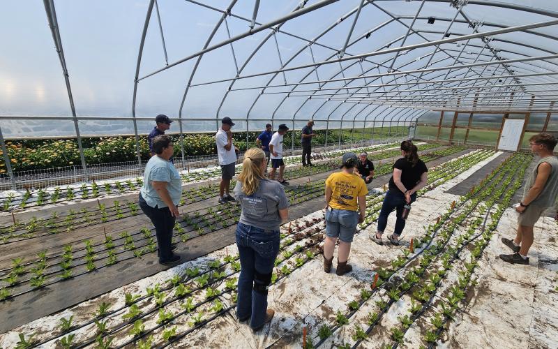 A group of participants attending a high tunnel tour at the Specialty Crops Field Day
