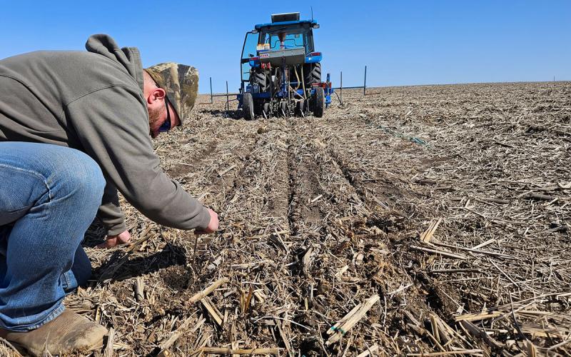 Producer inspecting soil surface of a no-till field.
