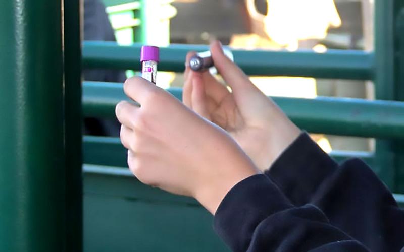 Producer loading up a vaccine syringe in a cattle handling facility.