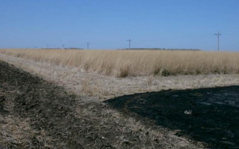 a grassy field where part of the field has been burned.